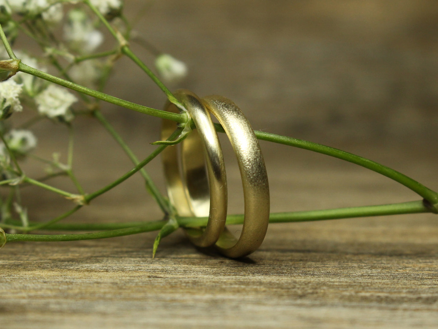 Rounded Band Set of Two in Solid Gold